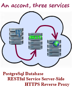 PostgreSql database+RESTful Service Server-Side+HTTPS Reverse Proxy 